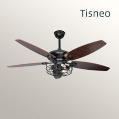 China Factory new arrival 52inch bldc ceiling fan indoor decorative ceiling fans